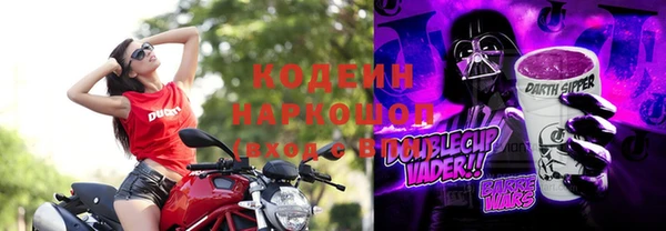 индика Волоколамск
