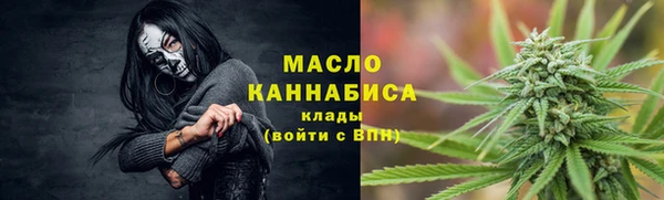индика Волоколамск