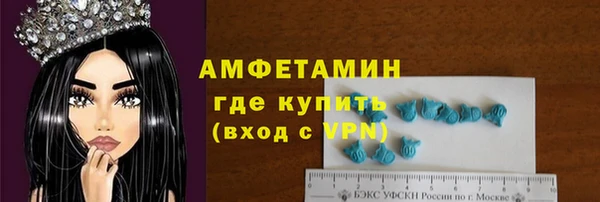 индика Волоколамск