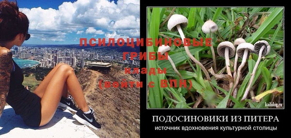 Альфа ПВП Волосово