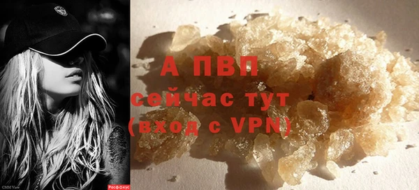 индика Волоколамск