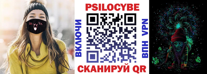 Купить где  Козловка  Галлюциногенные грибы Psilocybine cubensis 